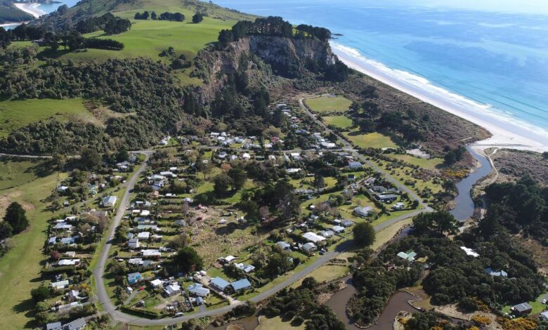 Dog Attack Wipes Out Long Beach Blue Penguin Colony