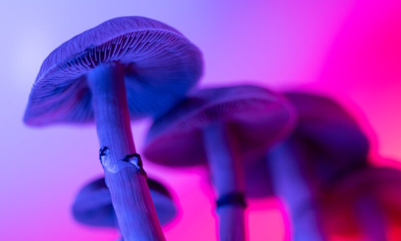 FDA fast-tracks psychedelics: psilocybin, methylone, ibogaine