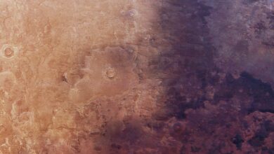Mars orbiter reveals fast ‘darkness wave’ in Utopia Planitia—what winds uncovered
