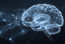 Teaching math the way the brain learns changes everything