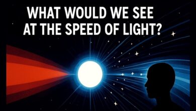 Travel Near Light Speed: What You’d See, Feel, and Lose