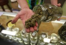 Rescheduling medical marijuana to Schedule III: what changes now