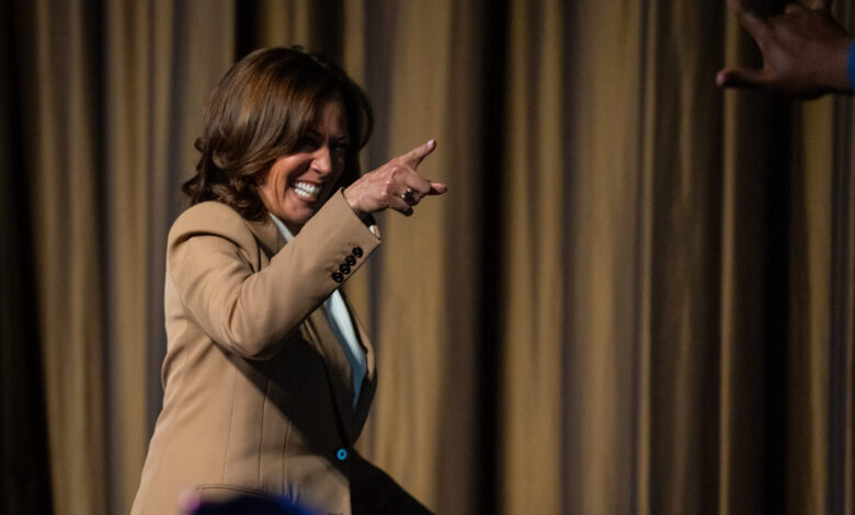 Harris sends 2028 bid signal at Sharpton event