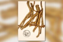 Ibogaine for depression and PTSD: promising, but not magic