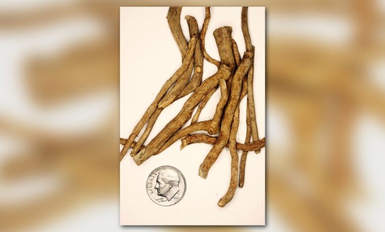 Ibogaine for depression and PTSD: promising, but not magic