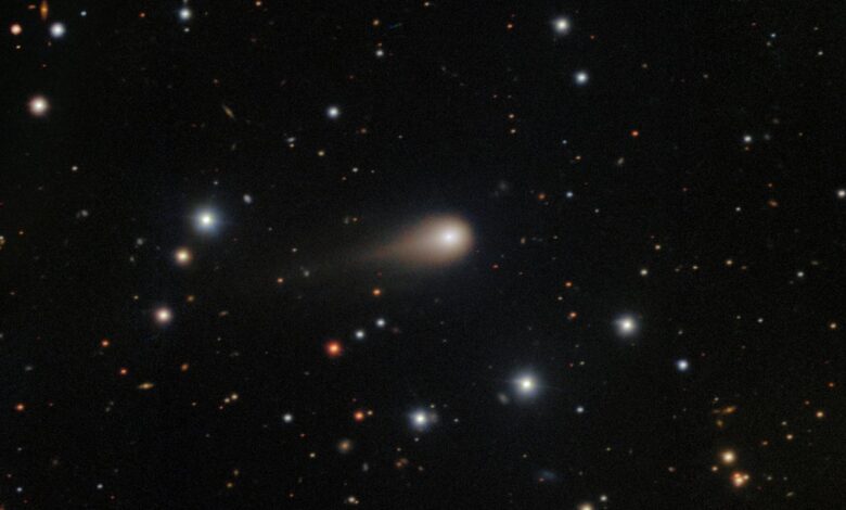 Alien comet reveals our solar system is the oddball