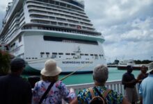 Crew member missing after fall from cruise ship near Cape Cod