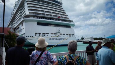 Crew member missing after fall from cruise ship near Cape Cod