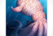 60-foot octopus predator? Fossils rewrite Cretaceous seas
