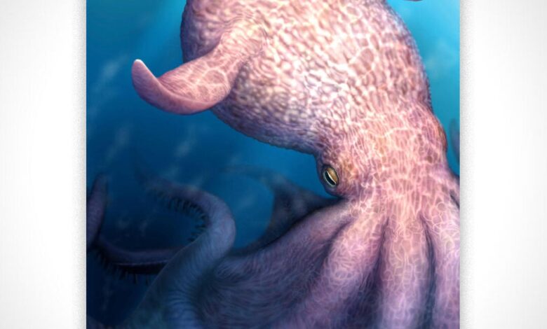 60-foot octopus predator? Fossils rewrite Cretaceous seas