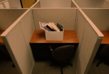 AI CEOs’ job-loss warnings: the real investor logic