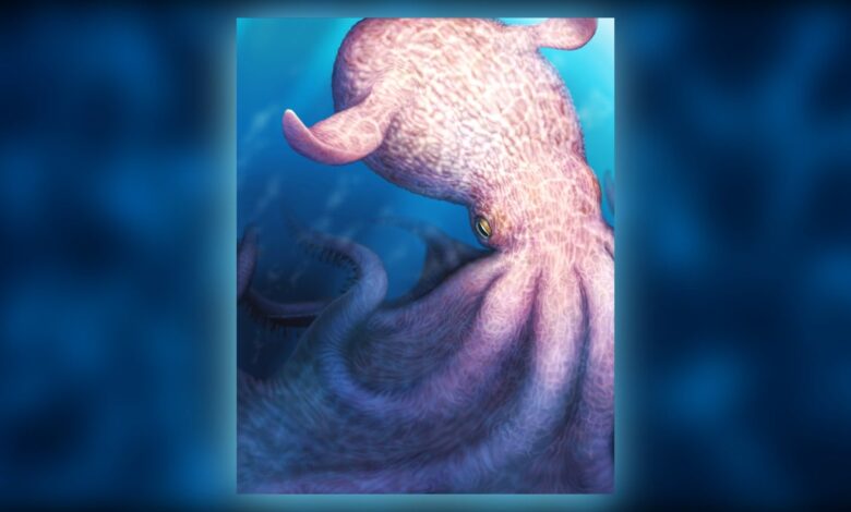 Real-life ‘Kraken’ fossils: Cretaceous apex octopuses