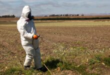 House Republicans split over farm bill pesticide vote as MAHA grows