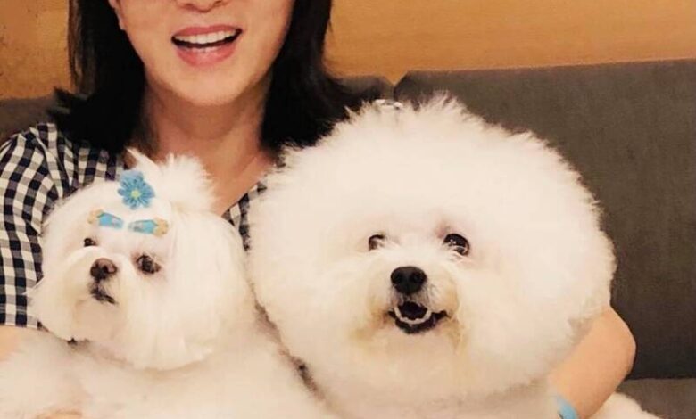 天后黃鶯鶯分享早起哲學：專家揭7招助高品質睡眠