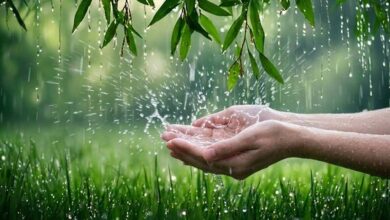 穀雨財水怎麼接？12生肖「正財、偏財、漏財」一次看