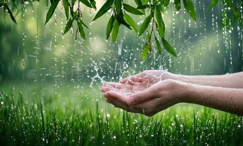 穀雨財水怎麼接？12生肖「正財、偏財、漏財」一次看