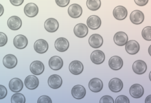 How a Renaissance gambling dispute created probability