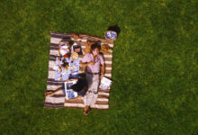 Watch 35 Eames Films: Powers of Ten and the Computer Age