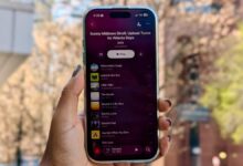 4 streaming services I swear by for a  bill