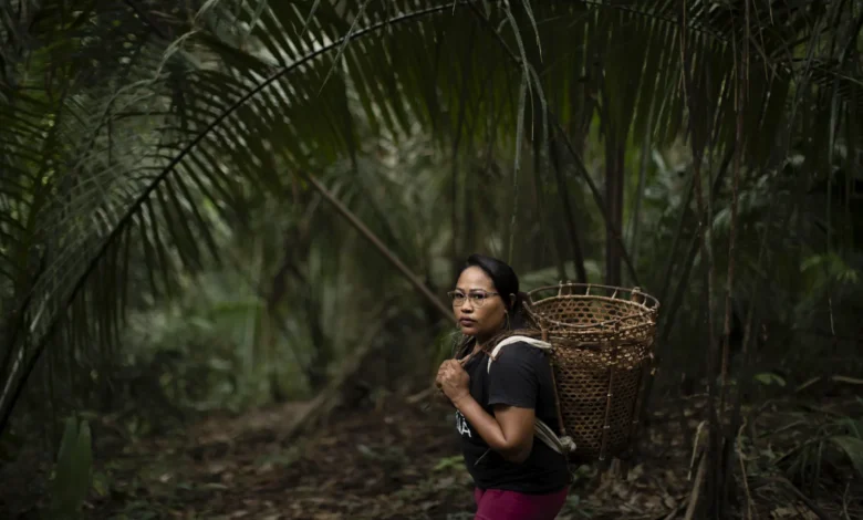 Brazilië: De schaduwzijde van een landbouwsupermacht