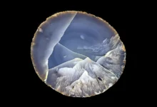 Dreams of Stones: Roger Caillois’ mineral poetry opens in Paris