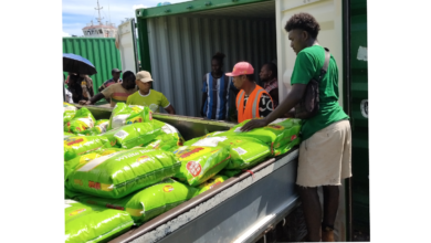 Initial Damage Assessment Teams Deployed Following Cyclone Maila