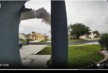 Pilot dead after small plane crash into Florida yard near Tampa