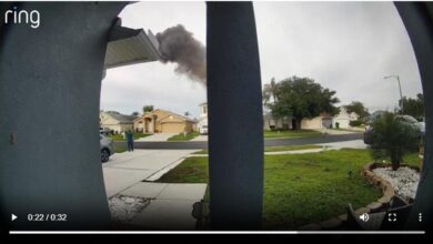 Pilot dead after small plane crash into Florida yard near Tampa