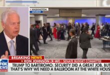 Ron Johnson Urges Nuking the Filibuster to Unlock DHS Funding