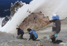 Hydrothermal Heat Flow Reveals Hidden Arc Magmas