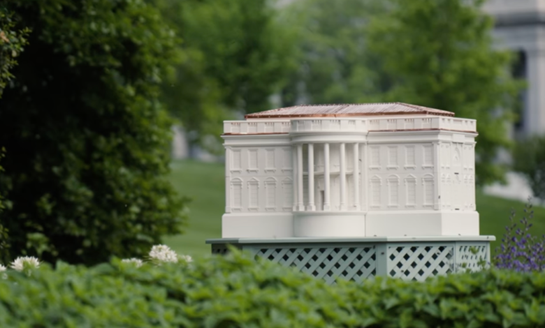 Melania Trump adds White House beehive on South Lawn