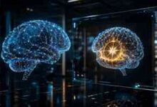 RLSD: Building Custom Reasoning Agents Without Big Compute