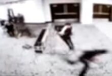 White House Correspondents’ Dinner interrupted by gunfire