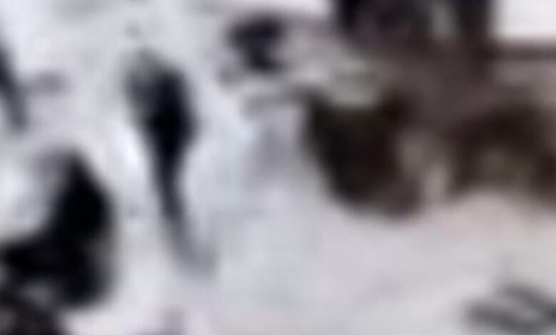 Trump posts video of suspect rushing through security at WHCD