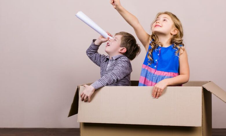 When a Box Stops Being a Castle: Restoring Wonder in Classrooms