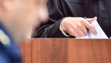 Собака в багажном отсеке: странный финал истории с авиаперевозчиком