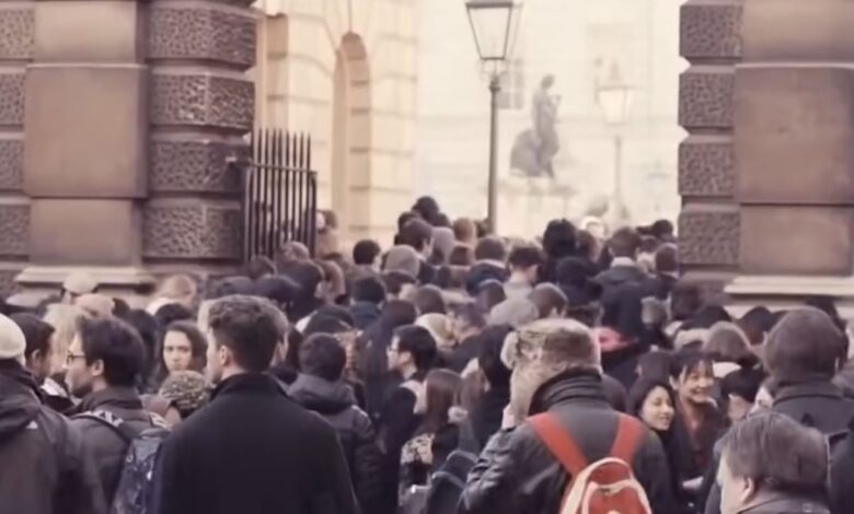 برطانیہ: غیر ملکی ویٹرنری ڈاکٹروں کی بھرتی ہدایات—ویزا فیس، زبان کی شرطیں