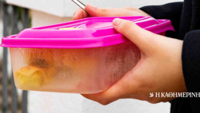 Τα τάπερ της επιστροφής: Μια ιστορία αγάπης στις αποσκευές