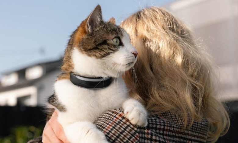 Smart Collar Health Tracking: Tractive’s Pet Wearables Go AI