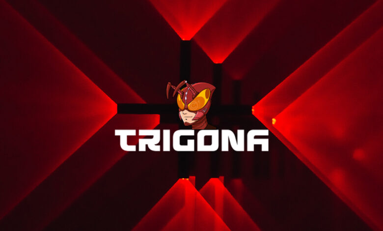 Trigona ransomware adds custom data-stealing tool to evade detection