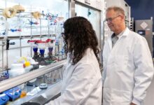 Engineering Collisions: NYU’s New Model for Health Research