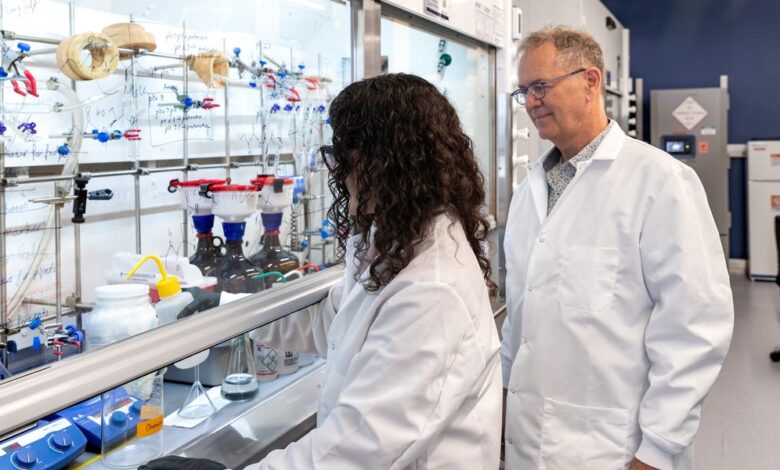 Engineering Collisions: NYU’s New Model for Health Research