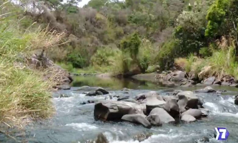 Un monstruo que se oculta en el agua: “súper bacterias” en la mira
