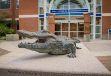 Gator 100 honors Aegis Nation’s Blake Dowling — UF network endures