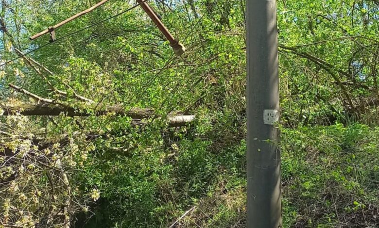 Circulația trenurilor oprită temporar din cauza vremii extreme