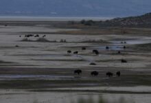 Trump seeks  billion for Great Salt Lake rescue