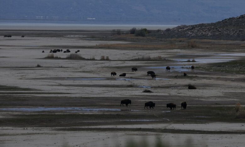 Trump seeks  billion for Great Salt Lake rescue