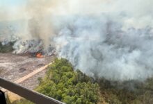 Georgia Highway 82 Fire grows past 31 square miles as evacuations loom