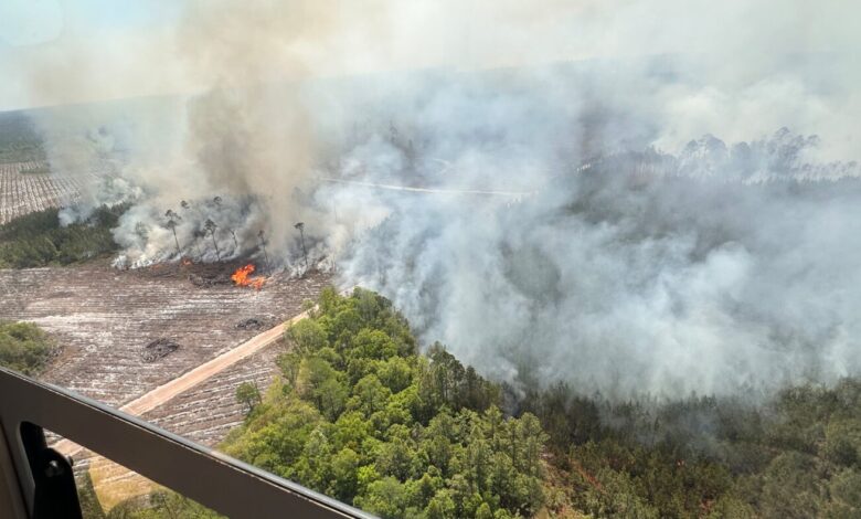 Georgia Highway 82 Fire grows past 31 square miles as evacuations loom