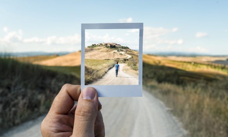 Neurons that power vision also back imagination